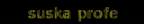 suska professore